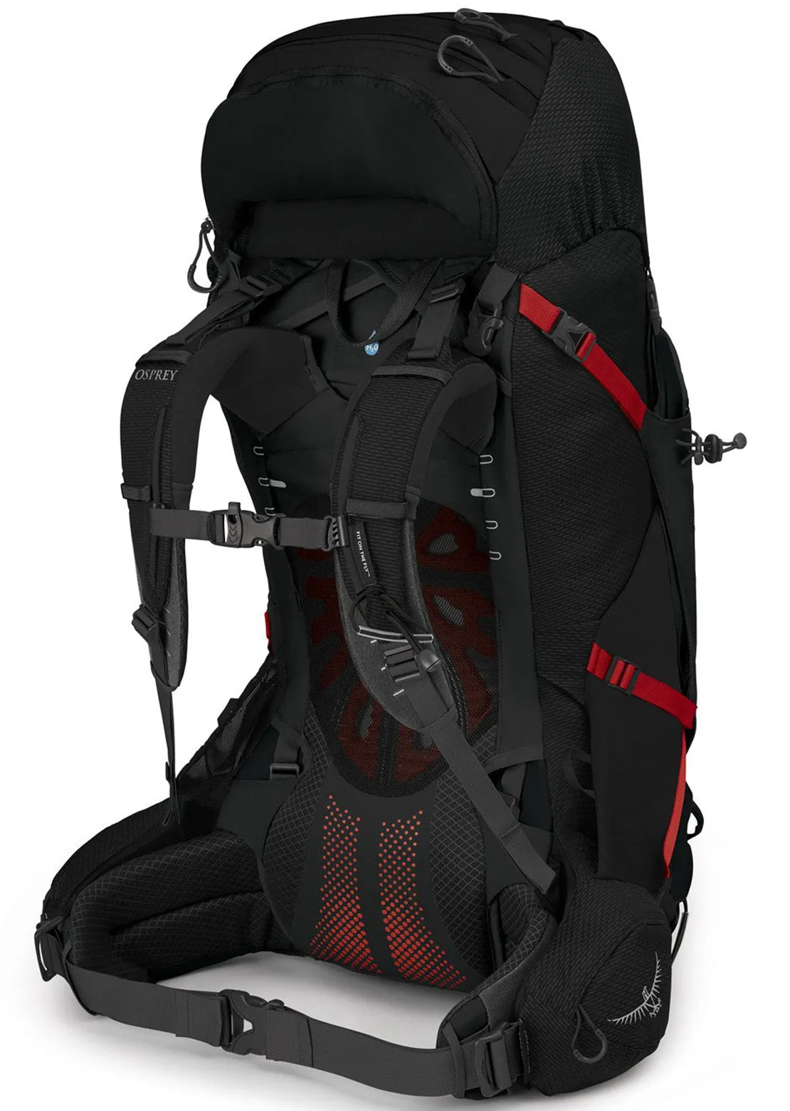 Osprey Men's Aether Plus 60 Backpack