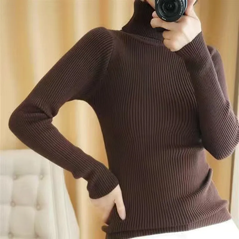 Turtelneck Sweater Autumn Women Long Sleeve Soft Knitted Jumper Elastic Fashion Chic Korean Ladies Basic Blouse